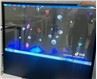 Transparant OLED-scherm